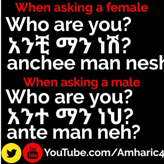 Learn Amharic - Everyday Conversations For Beginners