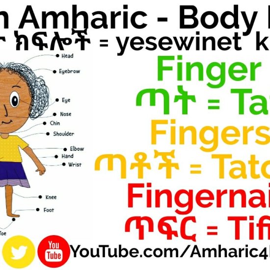 Learn Amharic - Body Parts (Vocabulary)