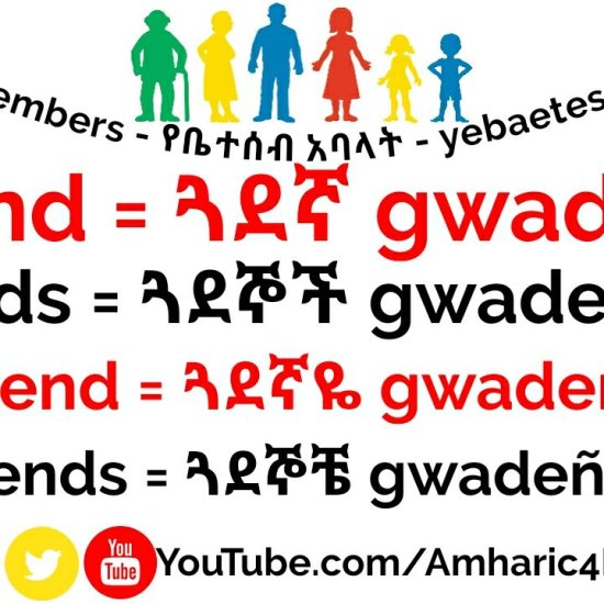 Learn Amharic – My Family Members! (Vocabulary)