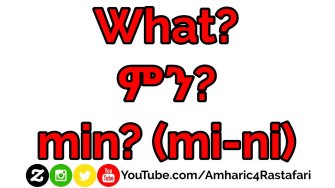Learn Amharic - The 5Ws and 1H (who, what, when, where, why, how)