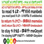 Learn Amharic & English - Important Verbs አስፈላጊ ግሶች 2